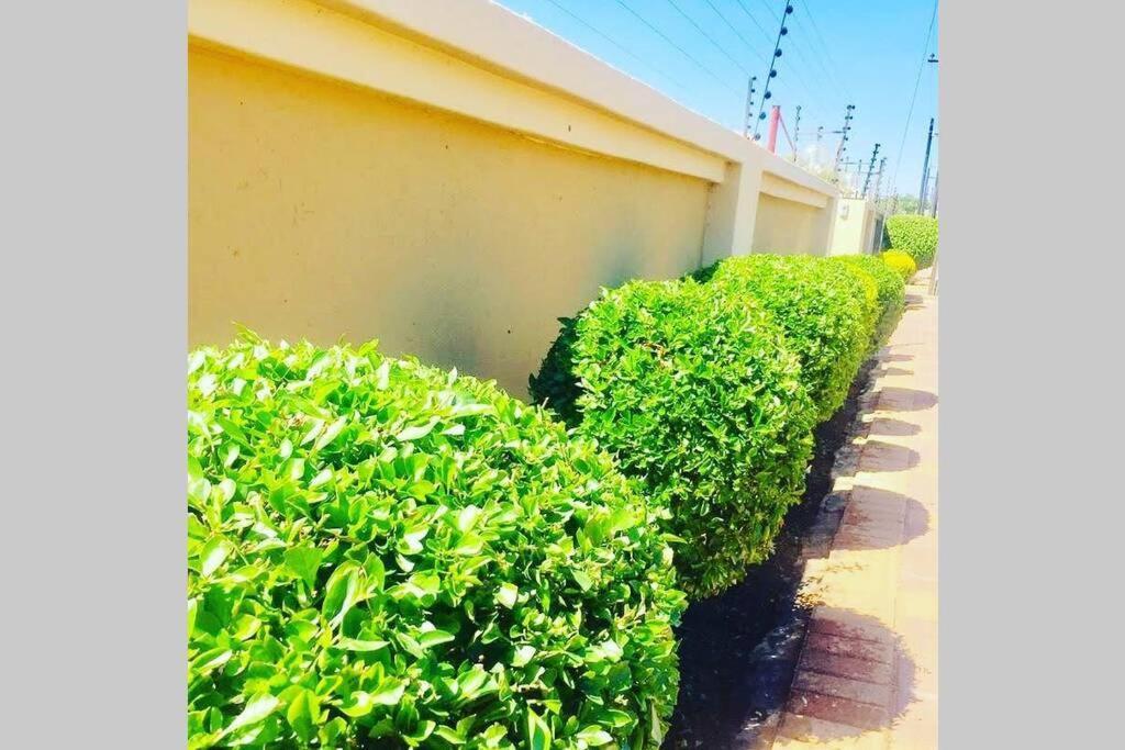 Olive Exclusive Villa Gaborone Kültér fotó
